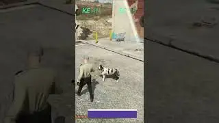 Advanced Pet Script | With Pet Shop and Actions | K9 Integration | 2024