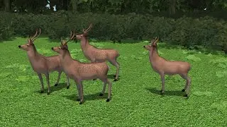 Scientists fear chronic wasting disease in deer could spread to humans