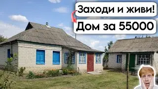 🇺🇦 Заходи и живи! Дом в селе за 55 000 Продажа недвижимости за копейки! Всё есть! Уютное село!