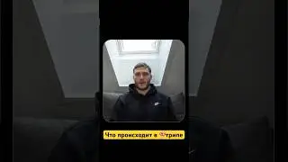 Грибной Трип