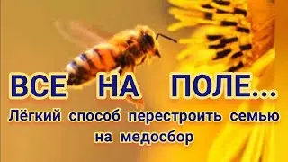 УБРАЛ МАТКУ ПЕРЕД ОСНОВНЫМ ВЗЯТКОМ. РЕЗУЛЬТАТ.