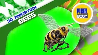 Green Screen Swarm of Bees Wasps - PixelBoom 3D Animations