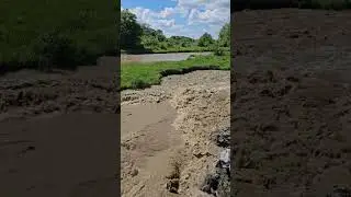 РСО-АЛАНИЯ р.Камбилеевка с.Донгарон 2024 год.