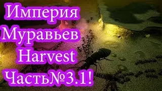 Empires of the Undergrowth - УРОЖАЙ - Harvest - insane  - Часть 3.1!