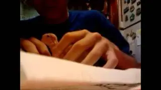 preparazione pappa e imbecco calopsite