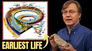 What The Earliest Life On Earth Would’ve Looked Like | Harvard Professor Explains