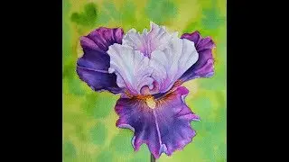 Как нарисовать Ирис акварелью. Iris. Watercolor.