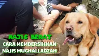 Tata Cara Menyucikan Najis Berat ( Najis Mugholadoh )