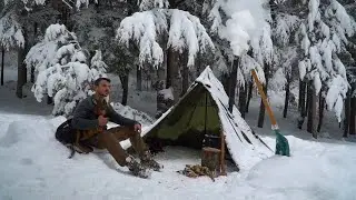 Caught in a Snowstorm - Winter Camping in a Snowstorm with My Dog