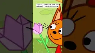 #ТриКота