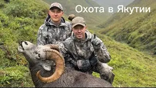 Охота в Якутии на Якутского и Охотского Снежных баранов   