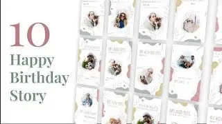 Pets Instagram Story Pack | After Effects Template