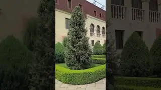 24 апреля 2024 г.