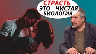 Профессор Савельев - страсть и любовь с точки зрения науки.