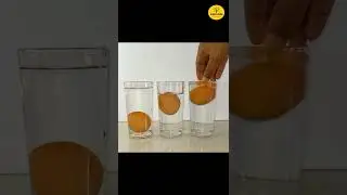 Awesome Science Experiment  || Floating Egg Tricks