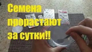 Как пробудить семена? Стимулятор для быстрого прорастания.