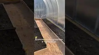 ДОРОЖКИ ИЗ ОПИЛОК В ТЕПЛИЦЕ 