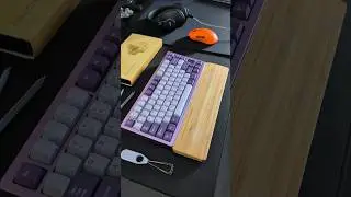 Akko Creamy Yellow Pro V3 Switches Sound Test!