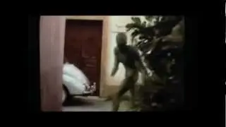 Por que será que ninguém nunca fez uma imagem assim de um alien, ovni, et, extraterrestre?