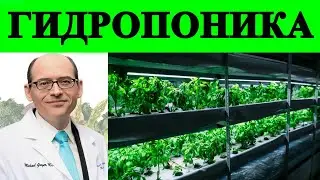 Гидропоника и Растения: Вред или Польза? - Доктор Майкл Грегер