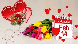 Happy Valentine`s Day