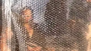 Ключ спасения человечества