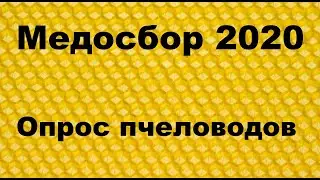 Big survey of beekeepers on honey collection 2020