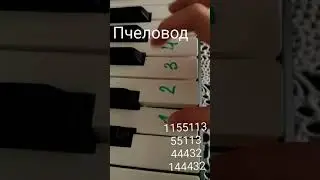 как играть песню 