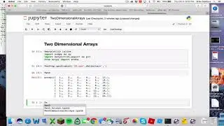 Python Two Dimensional Numpy Arrays