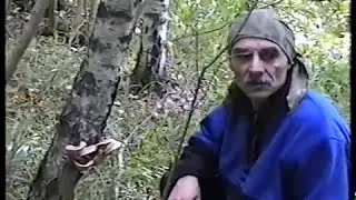 Грибы неизвестные и Веселка.*