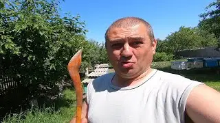 Пасека Троица, пасечний бограч Вам от меня:)