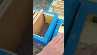 ВОТ ЭТО ВЕЩЬ ДЛЯ ПАСЕКИ работать с ним одно удовольствие МИНИ ПЛЮС ДЛЯ ОБЛЁТА МОЛОДЫХ МАТОК  ✅😳🐝🐝