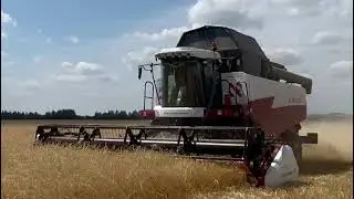Урак өсте башланды