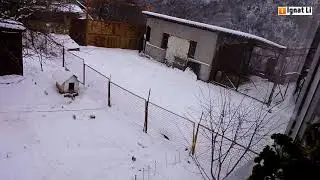 Скрытая камера