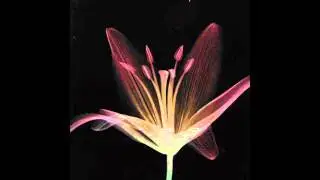 Rob Mello feat  Cecile Fantasize Instrumental Club Mix Classic Records..