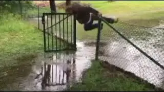 мужик упал в лужу