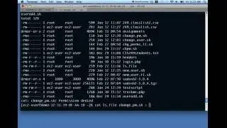 File processing