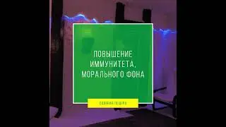 Галокамера