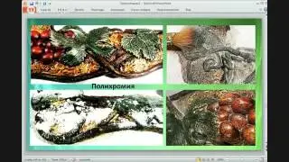 Марина Трублина выступление на конференции часть 2