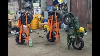 Лучший подарок на Новый Год. Рыжик в опытных руках