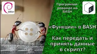 Functions in BASH. Pass the value to the BASH script? Get the value of a variable from a BASH script