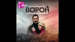 25 ноября 2023 г.