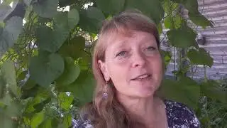 Трудный день, сбежавшее стадо и  неудачные покупки в ДНС