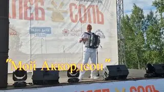 "Хлеб. Соль". Автор Николай Засидкевич поёт свою песню "Мой Аккордеон"