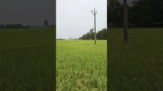 Village Powrahar | Village visit |