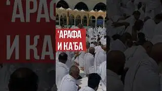 В чем уникальность Хаджжа сравнительно с другими ритуалами Ислама? #думу #ислам #кааба #хадж