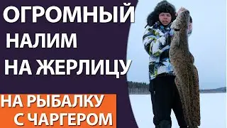 НАЛИМ МОНСТР НЕ ЛЕЗЕТ В ЛУНКУ!!! - ЖЕРЛИЦА НА НАЛИМА