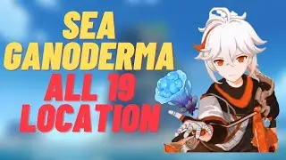 Sea Ganoderma Location | Golden Apple Archipelago | Genshin Impact