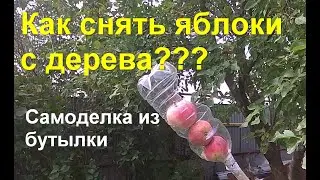 Как сделать ПЛОДОСБОРНИК для яблок из бутылки. Два варианта и недостатки конструкции.