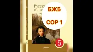 Русский язык и литература 5 класс.    СОР  №1 . БЖБ №1